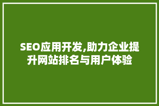 SEO应用开发,助力企业提升网站排名与用户体验