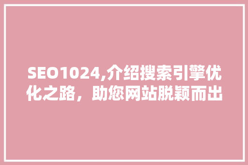 SEO1024,介绍搜索引擎优化之路，助您网站脱颖而出 必应SEO