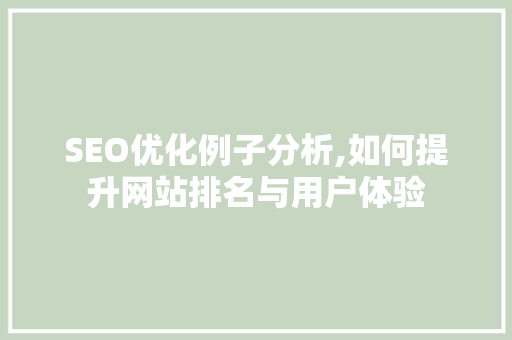 SEO优化例子分析,如何提升网站排名与用户体验 搜狗SEO