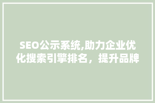 SEO公示系统,助力企业优化搜索引擎排名，提升品牌影响力 神马SEO