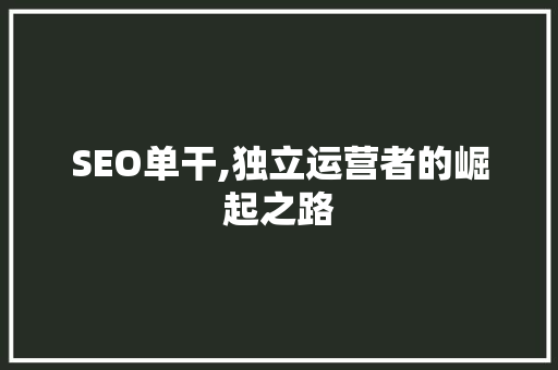 SEO单干,独立运营者的崛起之路