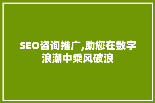 SEO咨询推广,助您在数字浪潮中乘风破浪 必应SEO