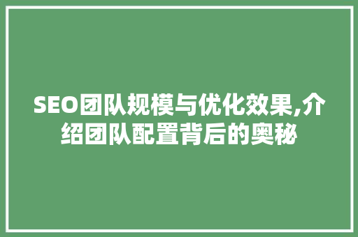 SEO团队规模与优化效果,介绍团队配置背后的奥秘
