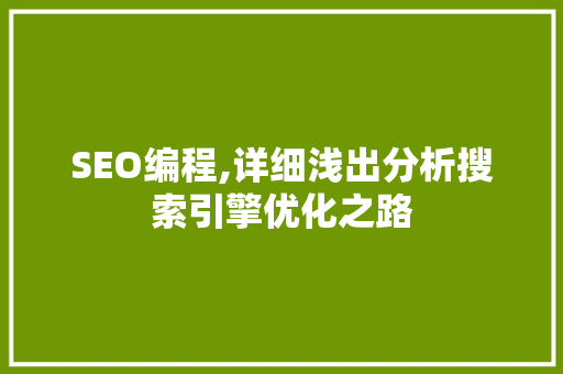 SEO编程,详细浅出分析搜索引擎优化之路 神马SEO