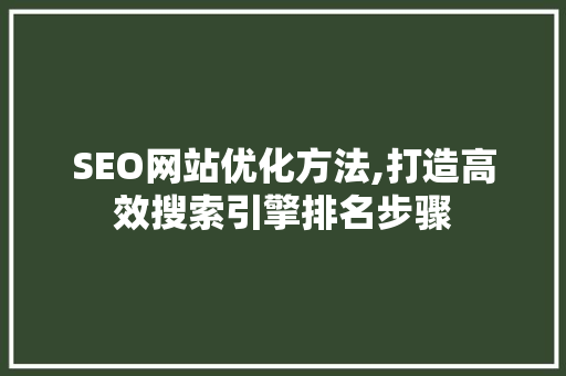 SEO网站优化方法,打造高效搜索引擎排名步骤 百度SEO
