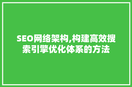 SEO网络架构,构建高效搜索引擎优化体系的方法