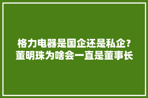 格力电器是国企还是私企？董明珠为啥会一直是董事长呢「珠海为什么这么少人」