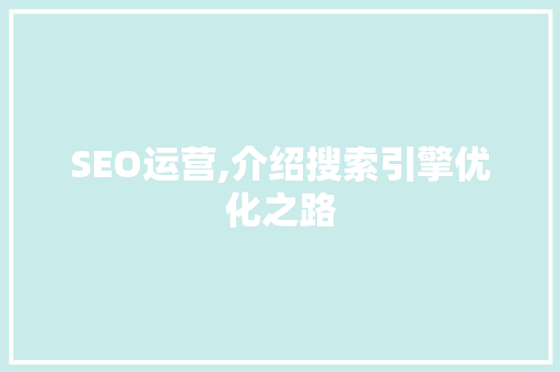 SEO运营,介绍搜索引擎优化之路 百度SEO
