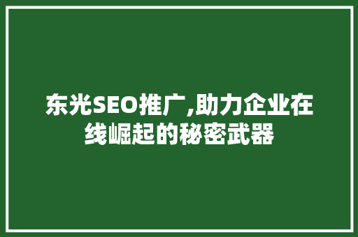 东光SEO推广,助力企业在线崛起的秘密武器 神马SEO