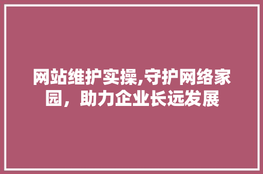 网站维护实操,守护网络家园，助力企业长远发展 GoogleSEO