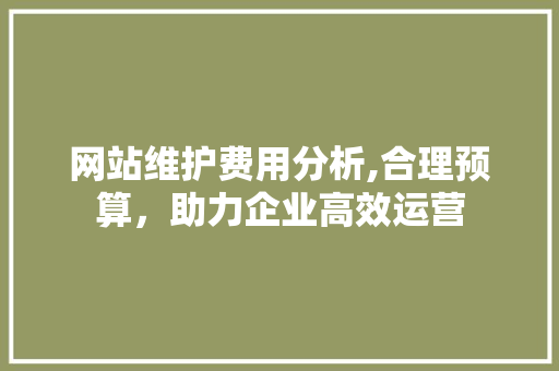 网站维护费用分析,合理预算，助力企业高效运营