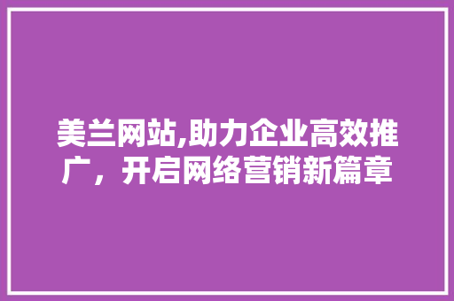 美兰网站,助力企业高效推广，开启网络营销新篇章 GoogleSEO