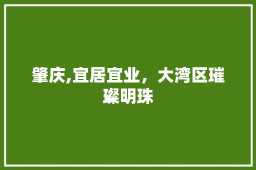 肇庆,宜居宜业，大湾区璀璨明珠