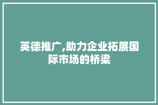 英德推广,助力企业拓展国际市场的桥梁