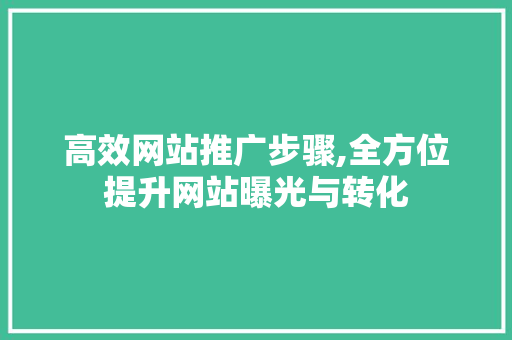 高效网站推广步骤,全方位提升网站曝光与转化 搜狗SEO