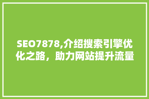 SEO7878,介绍搜索引擎优化之路，助力网站提升流量与排名 百度SEO