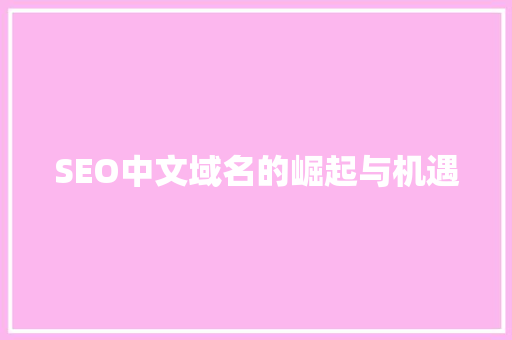 SEO中文域名的崛起与机遇