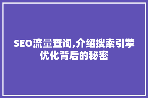 SEO流量查询,介绍搜索引擎优化背后的秘密 搜狗SEO