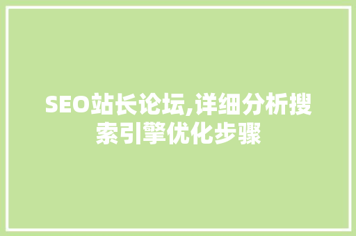 SEO站长论坛,详细分析搜索引擎优化步骤 神马SEO