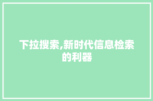 下拉搜索,新时代信息检索的利器 百度SEO