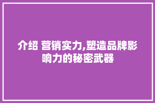 介绍 营销实力,塑造品牌影响力的秘密武器 百度SEO