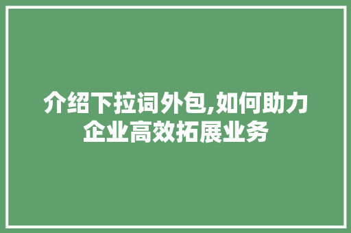 介绍下拉词外包,如何助力企业高效拓展业务 GoogleSEO