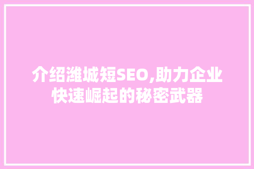 介绍潍城短SEO,助力企业快速崛起的秘密武器