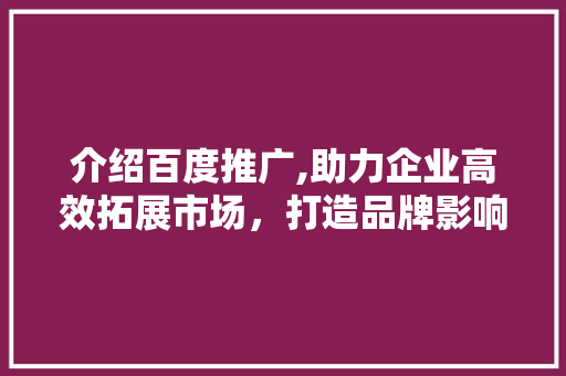 介绍百度推广,助力企业高效拓展市场，打造品牌影响力 神马SEO