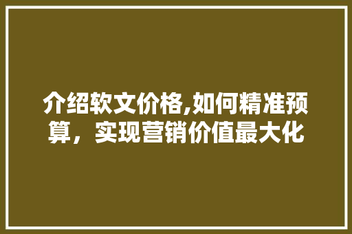 介绍软文价格,如何精准预算，实现营销价值最大化 百度SEO