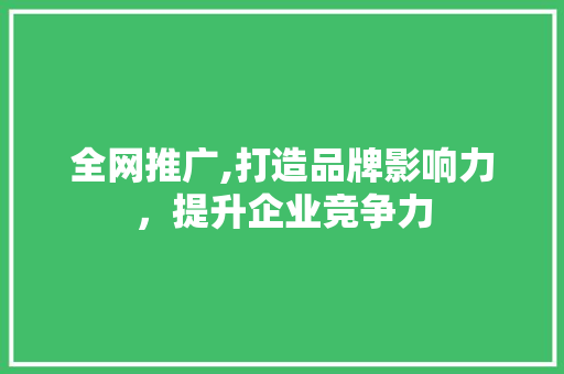 全网推广,打造品牌影响力，提升企业竞争力
