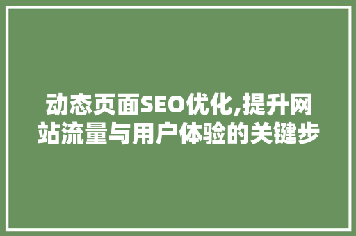 动态页面SEO优化,提升网站流量与用户体验的关键步骤