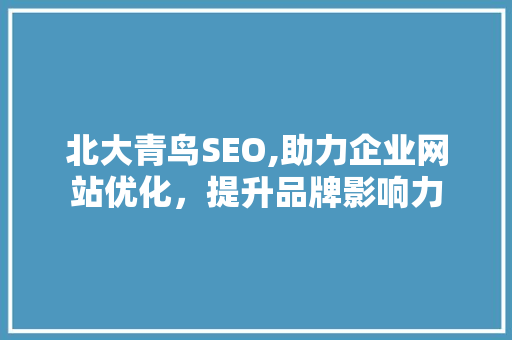 北大青鸟SEO,助力企业网站优化，提升品牌影响力