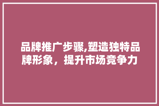 品牌推广步骤,塑造独特品牌形象，提升市场竞争力