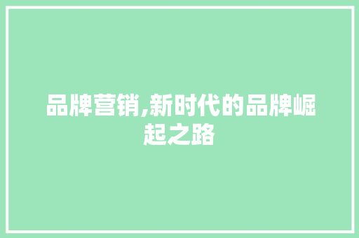 品牌营销,新时代的品牌崛起之路