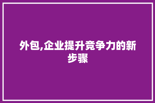 外包,企业提升竞争力的新步骤 搜狗SEO