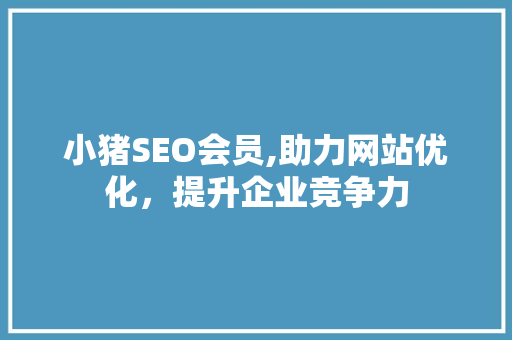 小猪SEO会员,助力网站优化，提升企业竞争力 搜狗SEO
