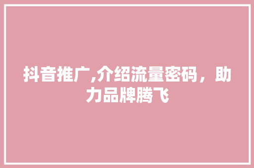 抖音推广,介绍流量密码，助力品牌腾飞 神马SEO