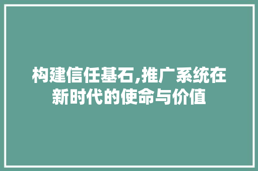 构建信任基石,推广系统在新时代的使命与价值 神马SEO