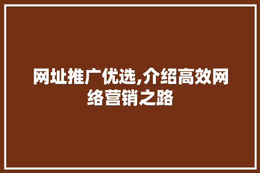 网址推广优选,介绍高效网络营销之路 GoogleSEO