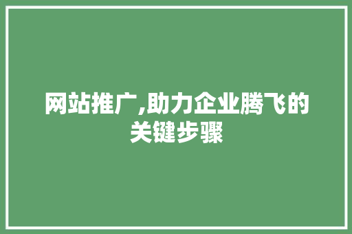 网站推广,助力企业腾飞的关键步骤