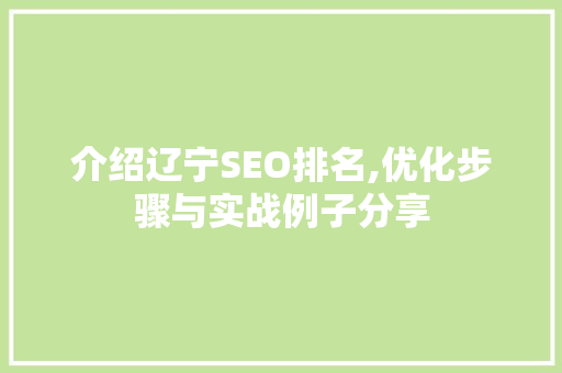 介绍辽宁SEO排名,优化步骤与实战例子分享