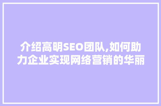介绍高明SEO团队,如何助力企业实现网络营销的华丽蜕变