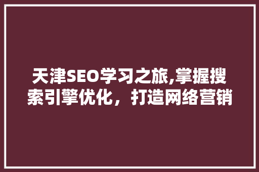 天津SEO学习之旅,掌握搜索引擎优化，打造网络营销新优势