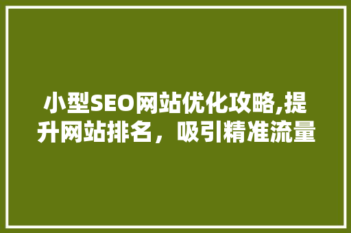 小型SEO网站优化攻略,提升网站排名，吸引精准流量
