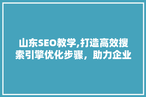 山东SEO教学,打造高效搜索引擎优化步骤，助力企业线上发展