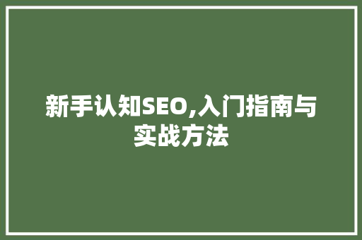 新手认知SEO,入门指南与实战方法