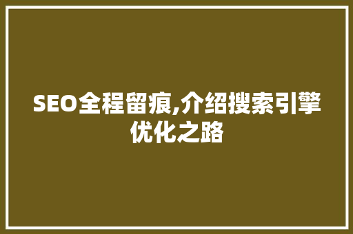 SEO全程留痕,介绍搜索引擎优化之路