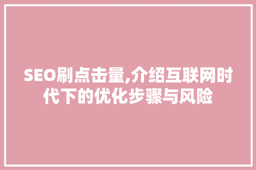 SEO刷点击量,介绍互联网时代下的优化步骤与风险