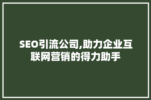 SEO引流公司,助力企业互联网营销的得力助手