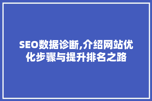 SEO数据诊断,介绍网站优化步骤与提升排名之路